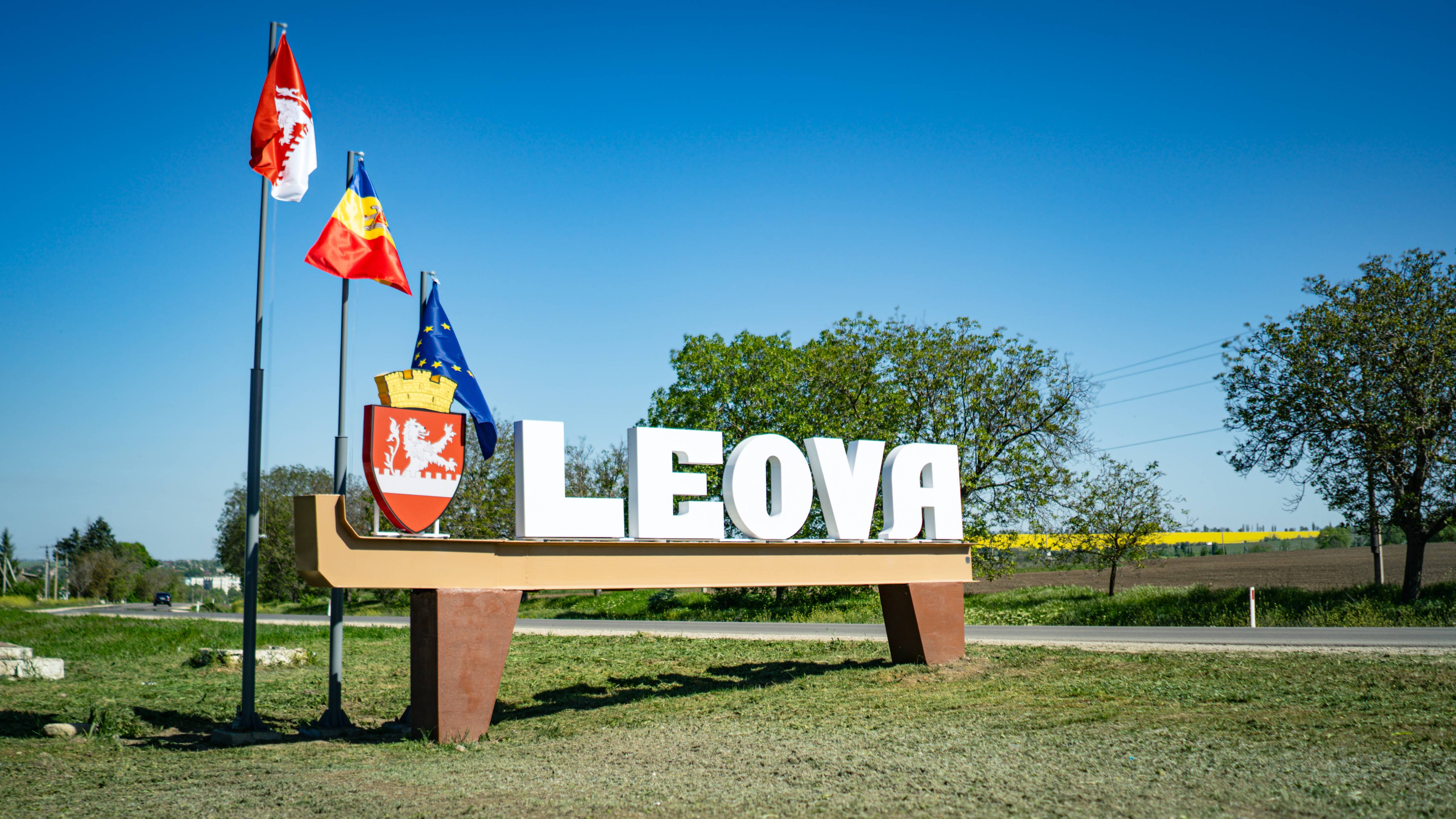 Model: Leova